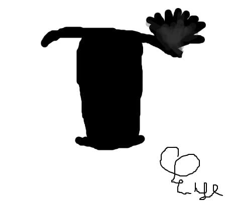 ochi
