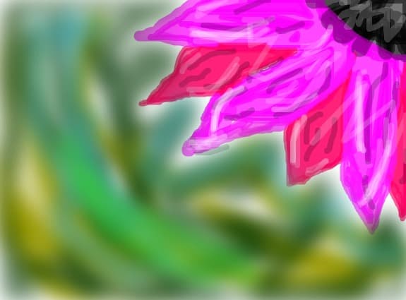 o floare