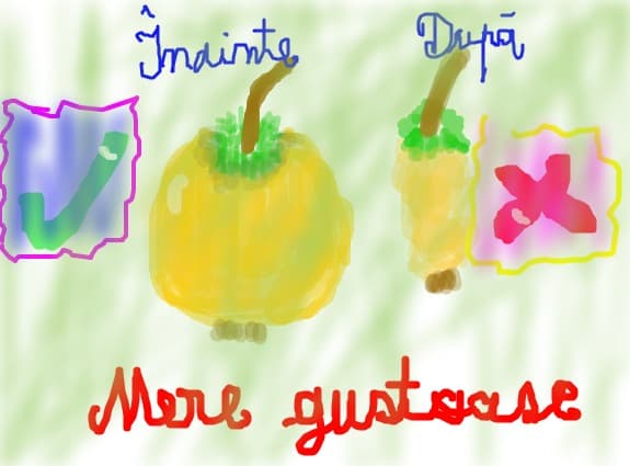 ,,Mere gustoase\'\', ,,Inainte si dupa\'\', ,,Da si nu\'\'