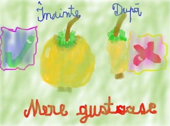 ,,Mere gustoase\'\', ,,Inainte si dupa\'\', ,,Da si nu\'\'