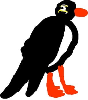 un pinguin