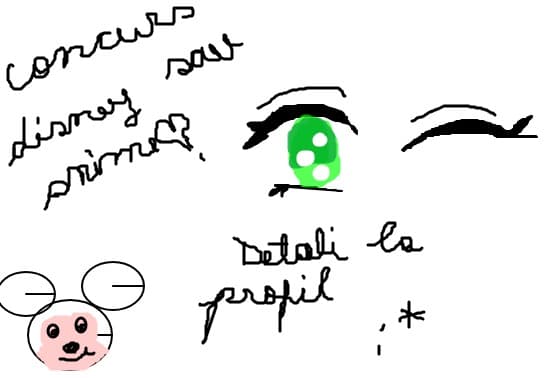 concurs disney sau anime