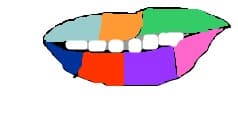 lips