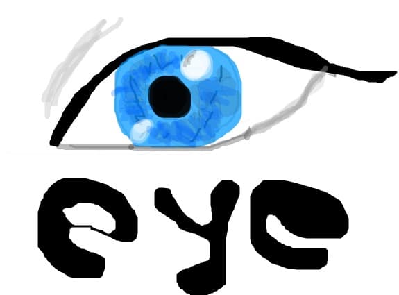 eye