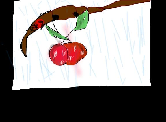 cheryy on the tree