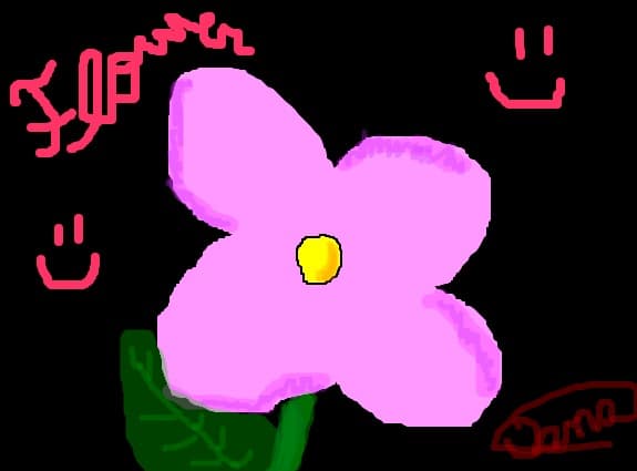A flower