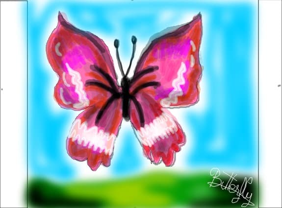 butterfly