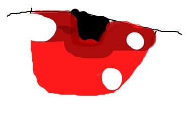 ochi