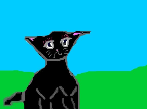 miau?