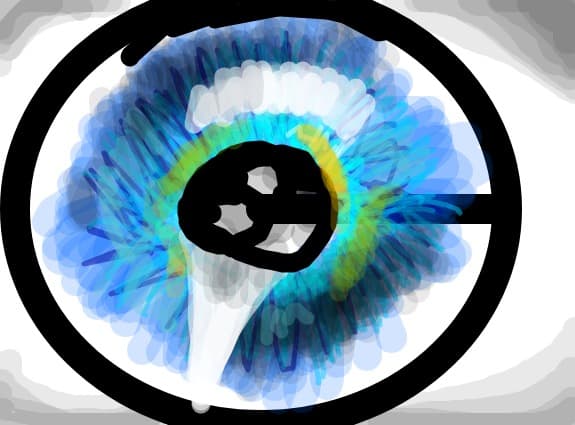 eye