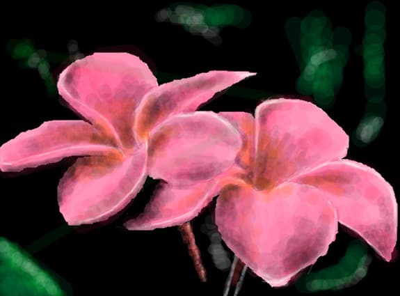 flowers...
