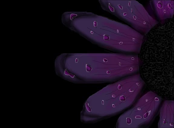 purple flower