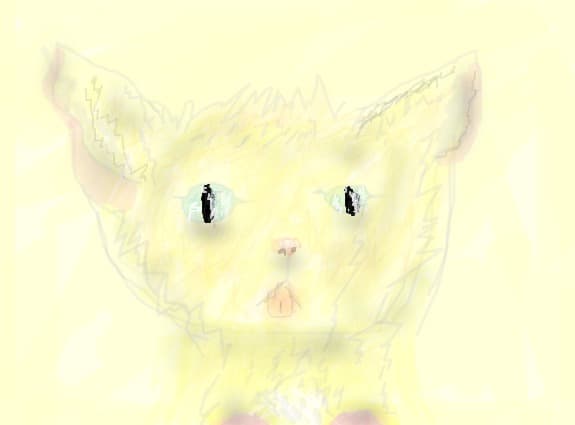 little kity