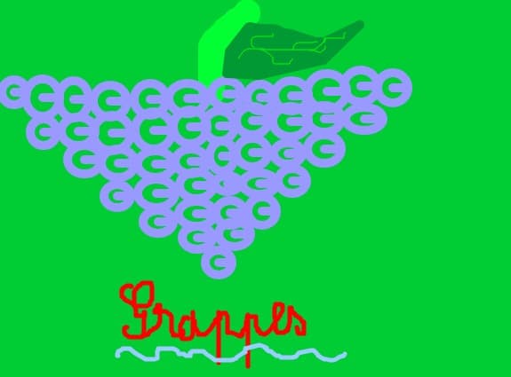,,Grappes\'\'