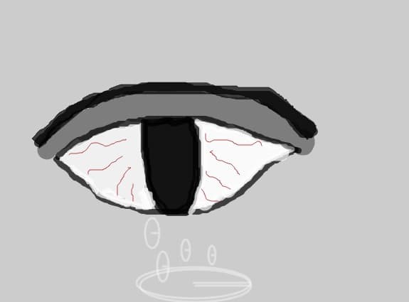 eye