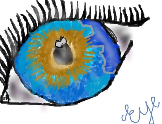 eye