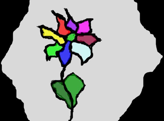 floare