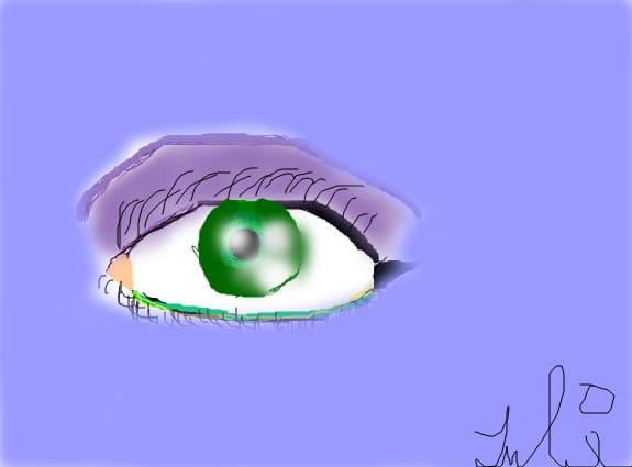 eyes
