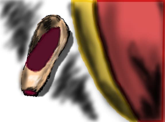 pointe shoe