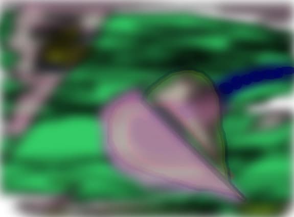 the hidden heart ;)