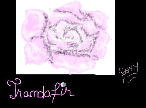 trandafir