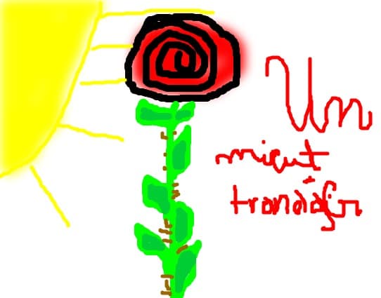 un mic trandafir