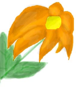 o floare