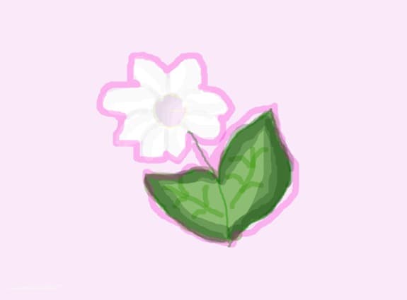 o floare