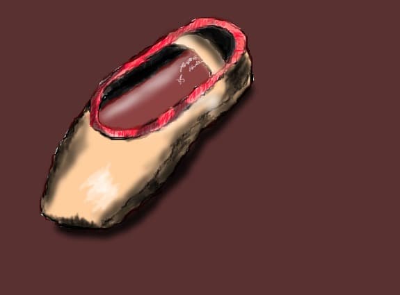 pointe shoe