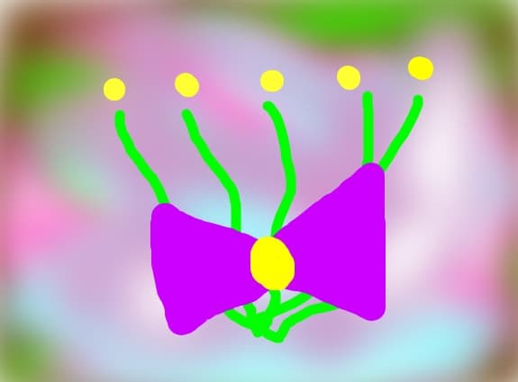 Flori