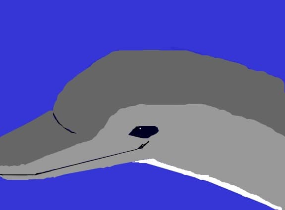 Delfin