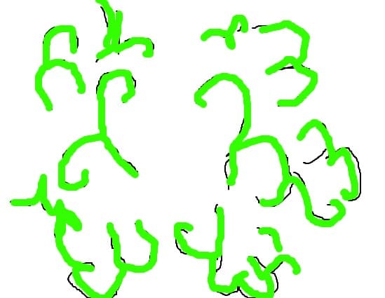 frunze(sau...)