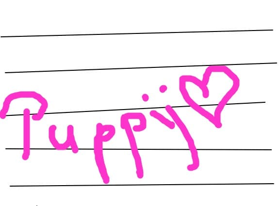 puppy