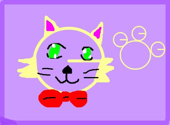 beautiful cat