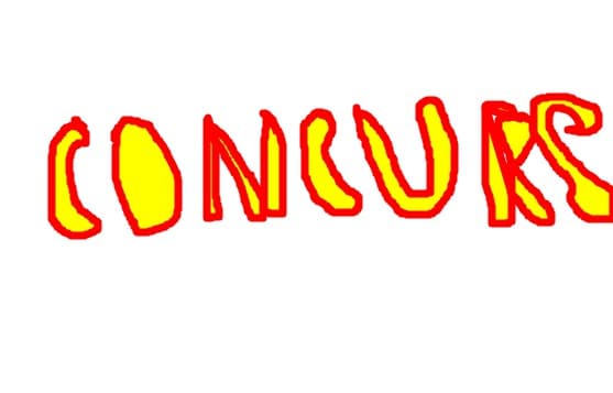 CONCURS detalii profil