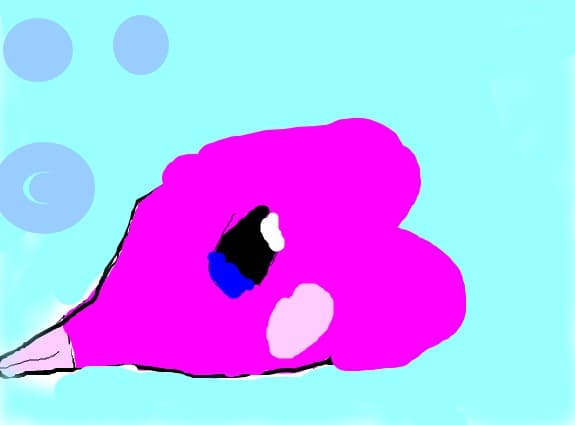 luvdisc