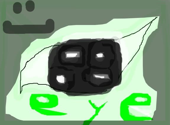 eye ...  eye