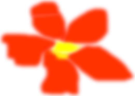 o floare