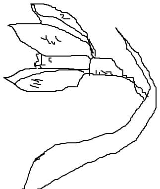 ghiocel