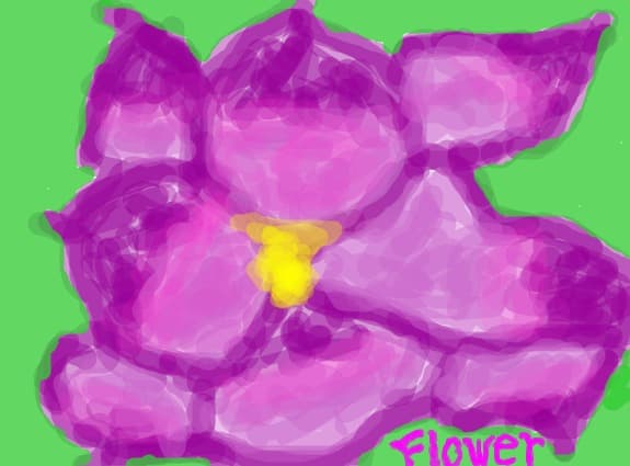 Flower