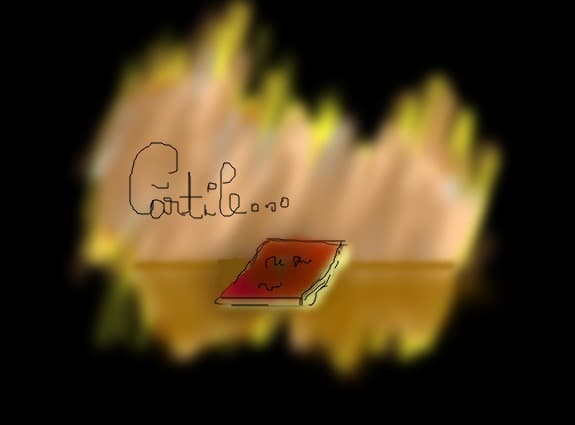 cartile...un unives