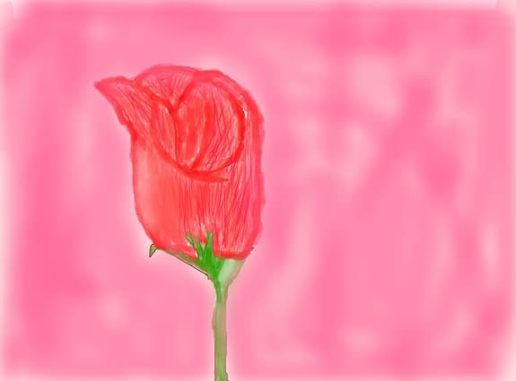 Little rose