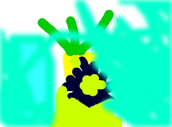 florile stelute