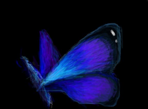 blue buterflye