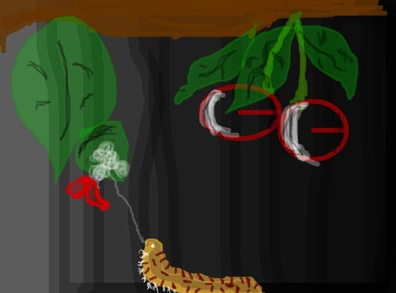 miracle of birth-unfinished-