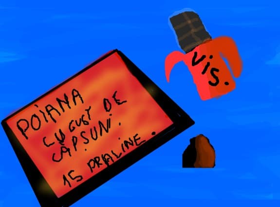 Pentru concurs Cristutza