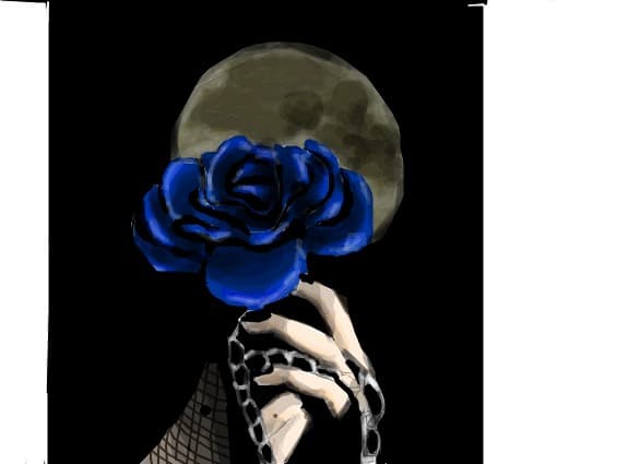blue rose