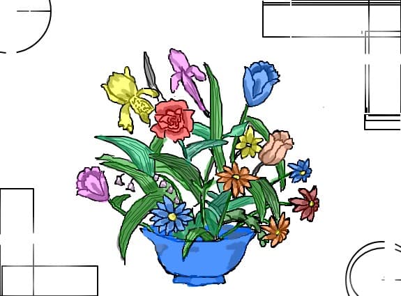 colour :)
