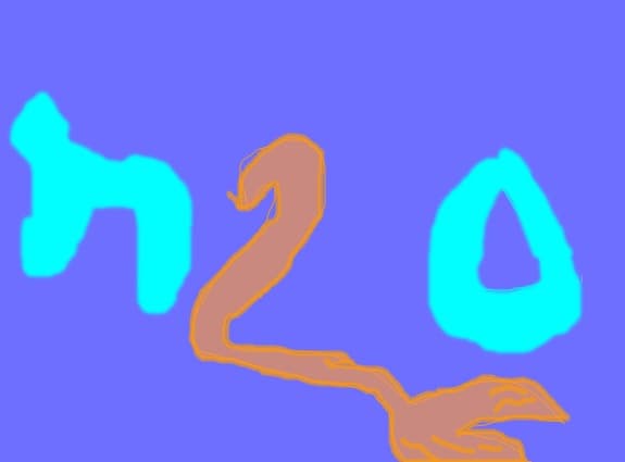andreealucaci will