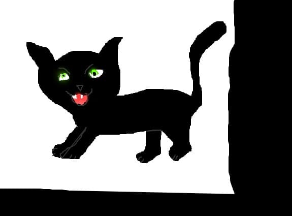 pisica